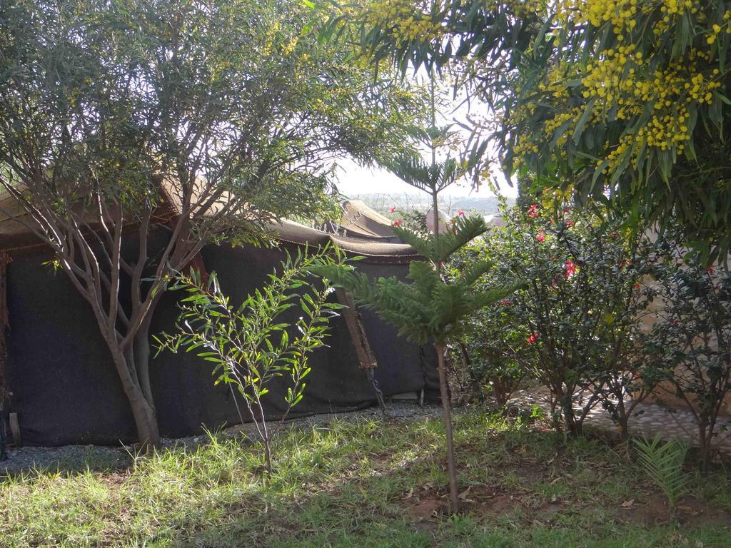Douar Noujoum Bed and Breakfast Essaouira Exteriör bild